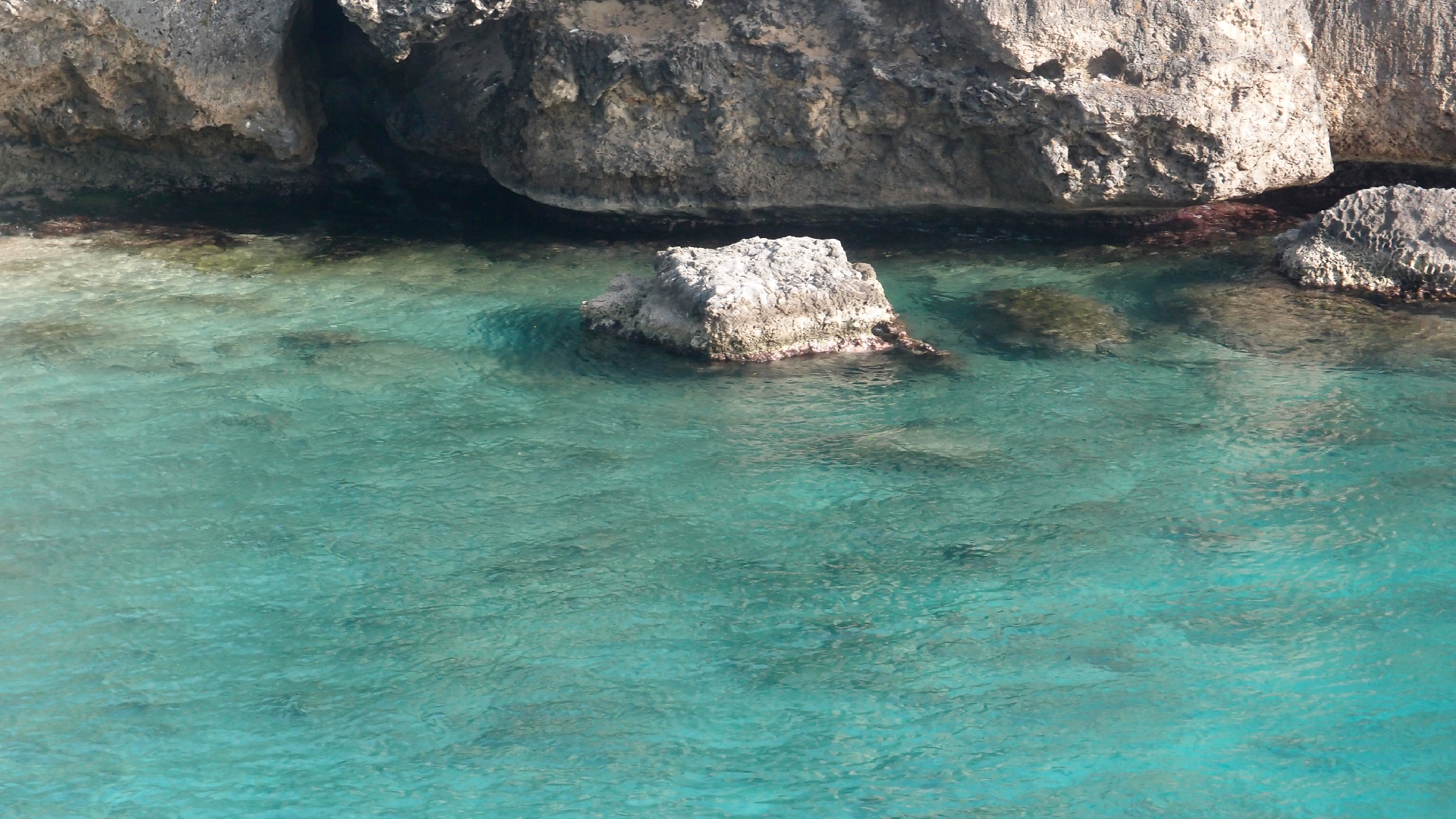 2022-04-18 02 Playa Lagun (Video)